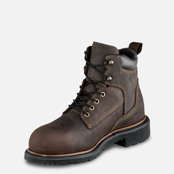 Brown Men's Red Wing Dynaforce® 6-inch Insulated Waterproof Shoes | IE24165XW