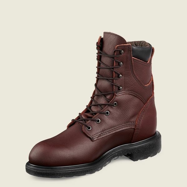 Brown Men's Red Wing SuperSole 2.0 8-inch Insulated, Waterproof Soft Toe Boot Work Boots | IE10925IF