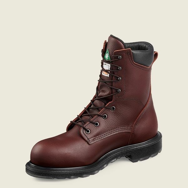 Brown Men's Red Wing SuperSole 2.0 8-inch CSA Safety Toe Boot Work Boots | IE58234YG