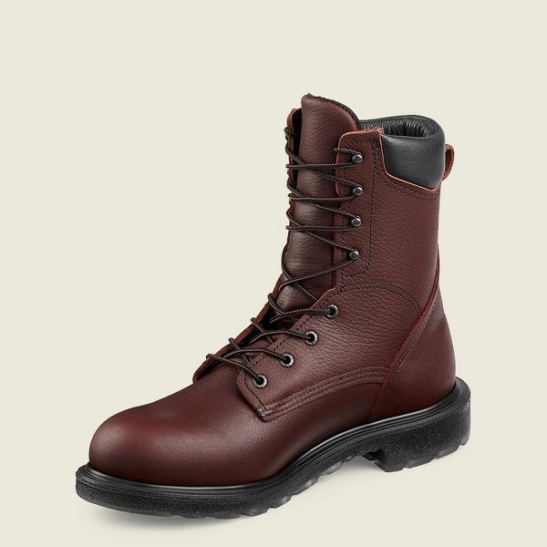 Brown Men's Red Wing SuperSole 2.0 8-inch Safety Toe Boot Work Boots | IE91327RG