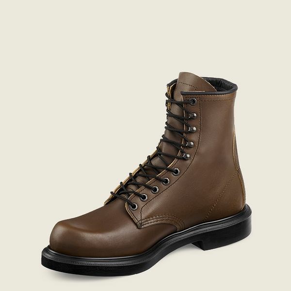 Brown Men's Red Wing SuperSole 8-inch Soft Toe Boot Work Boots | IE91302VJ