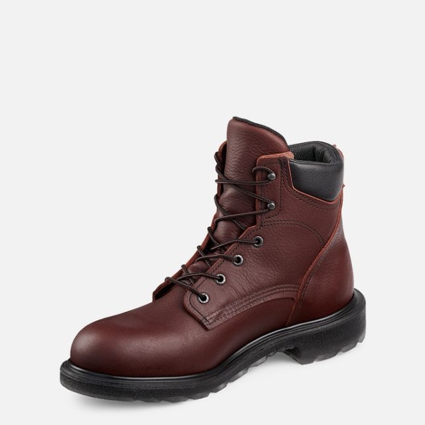 Brown Men's Red Wing Supersole® 2.0 6-inch Work Boots | IE50642IJ