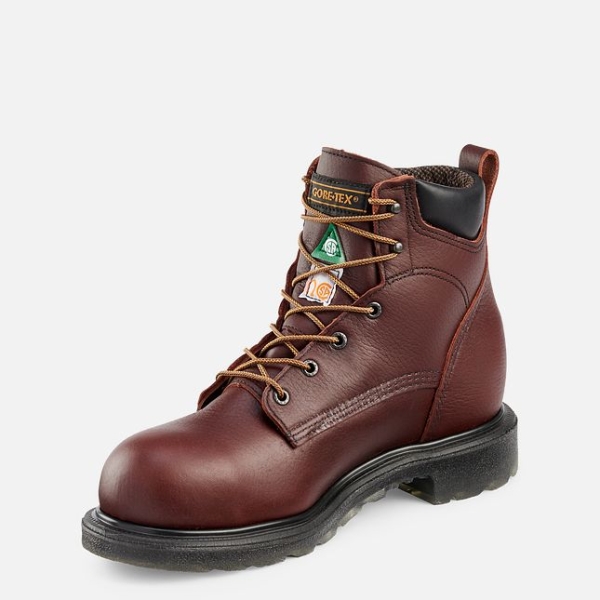 Brown Men's Red Wing Supersole® 2.0 6-inch Waterproof CSA Work Shoes | IE62830IN