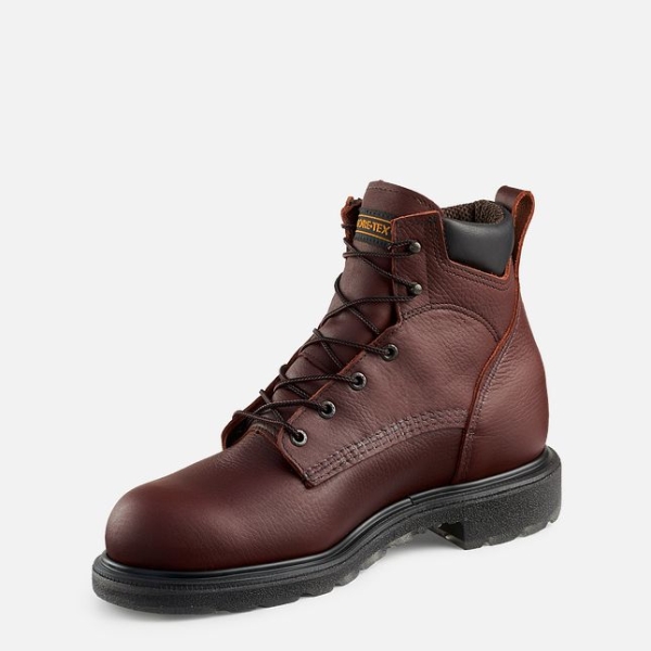 Brown Men's Red Wing Supersole® 2.0 6-inch Waterproof Work Boots | IE72481NA