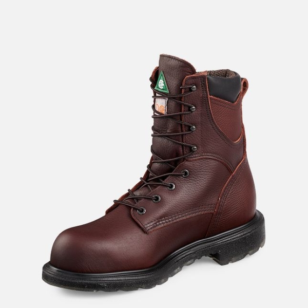 Brown Men's Red Wing Supersole® 2.0 8-inch Insulated, Waterproof CSA Work Shoes | IE06542OB