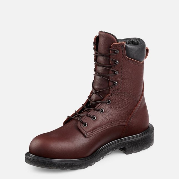 Brown Men's Red Wing Supersole® 2.0 8-inch Work Boots | IE12043XT