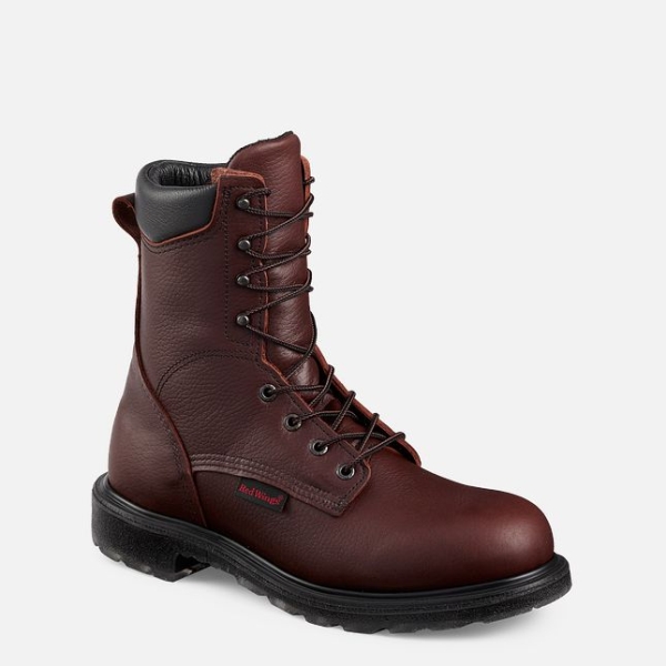 Brown Men\'s Red Wing Supersole® 2.0 8-inch Work Boots | IE12043XT