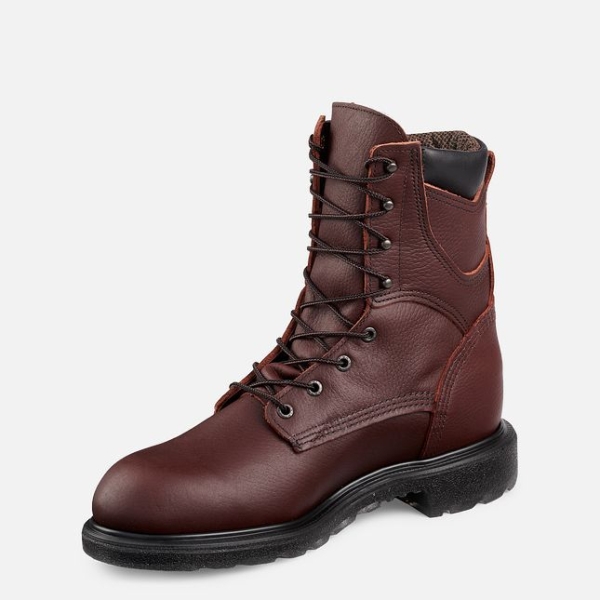 Brown Men's Red Wing Supersole® 2.0 8-inch Insulated, Waterproof Work Boots | IE43179MQ