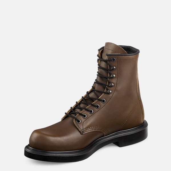 Brown Men's Red Wing Supersole® 8-inch Work Boots | IE51608MB