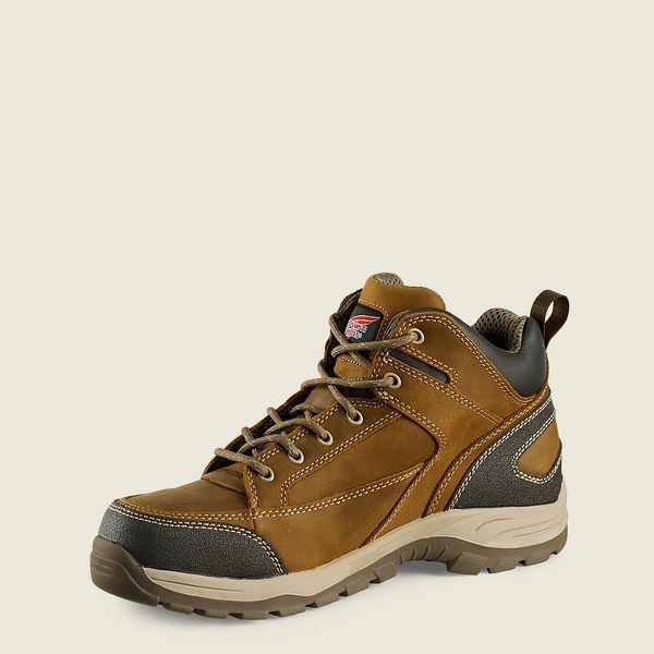 Brown Men's Red Wing TruHiker 5-inch Safety Toe Hiking Boots | IE29104QH